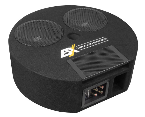 ESX DBX800Q Subwoofer für die Reserveradmulde