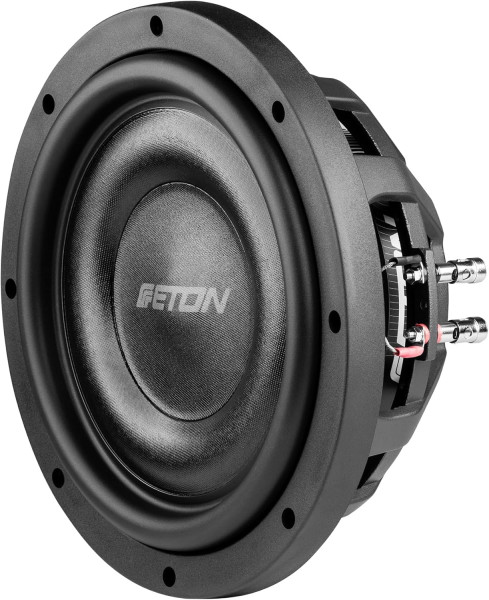 Eton Move MW10FLAT Flach-Subwoofer